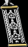 DIJE RECTANGULAR CON TRES FLORES